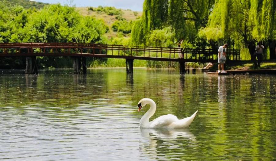 Appartamento Charming House Pogradec Esterno foto